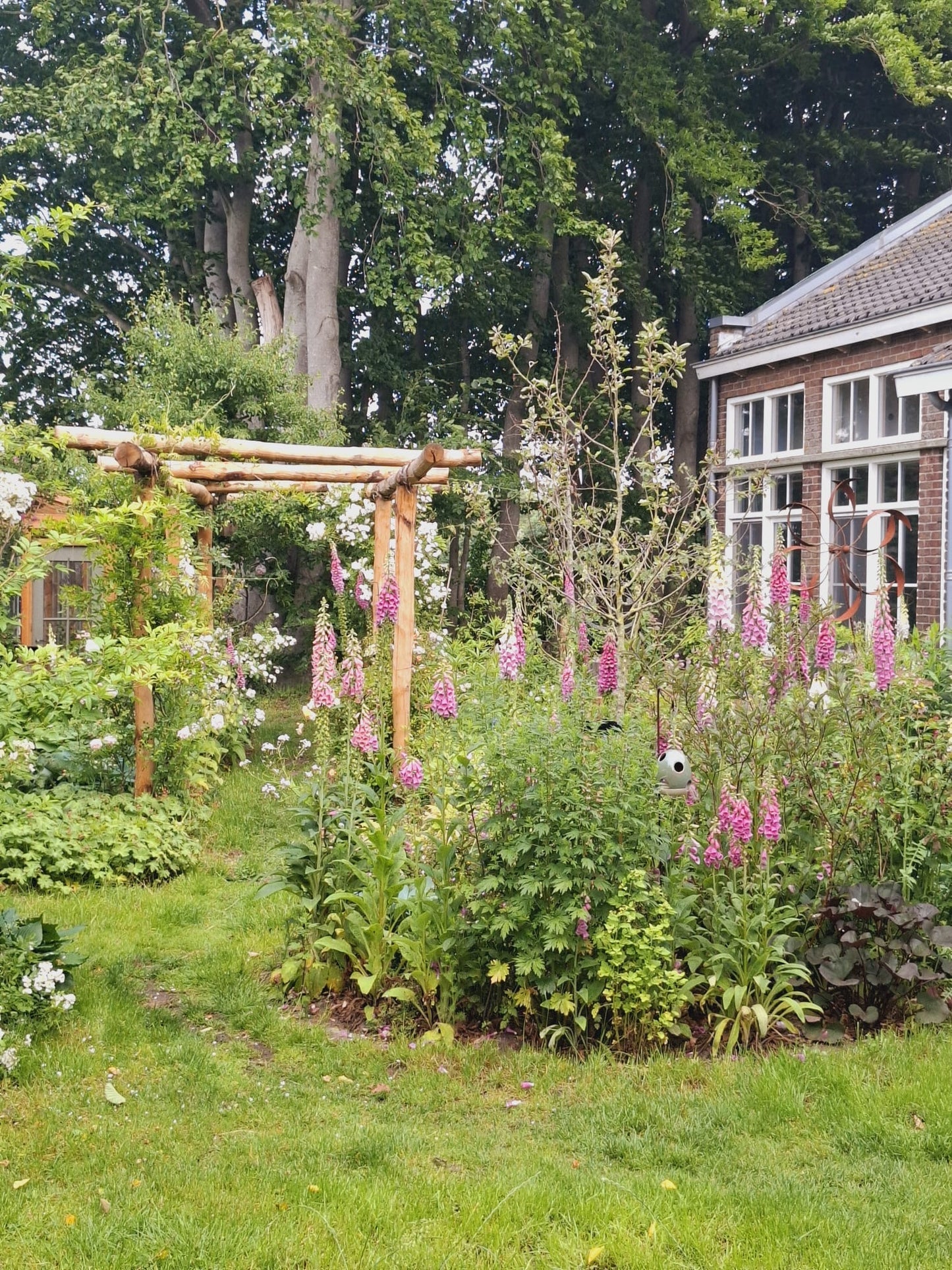 Workshop Plantafdruk in keramiek 13 september 2025 - De Wijk (DR)