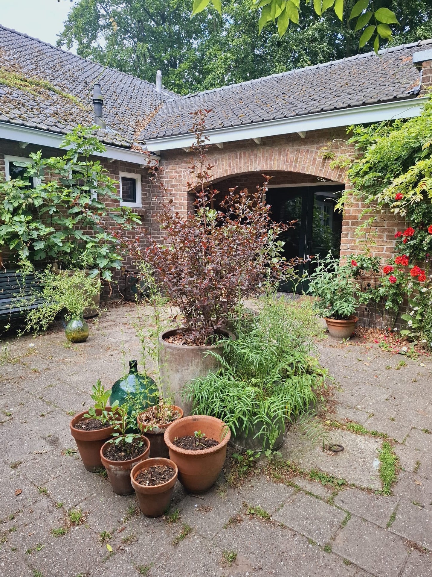 Workshop Plantafdruk in keramiek 13 september 2025 - De Wijk (DR)