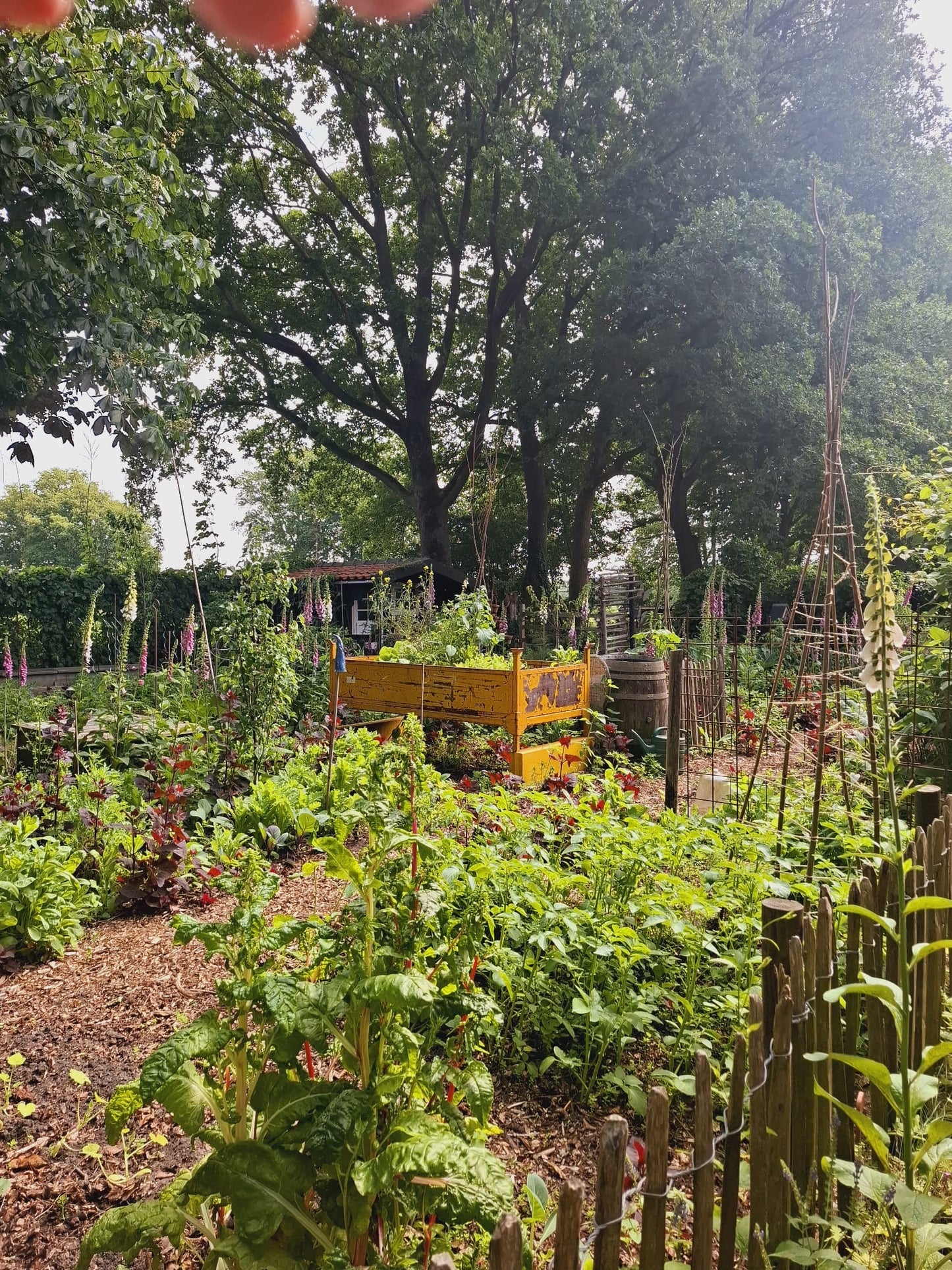 Workshop Plantafdruk in keramiek 13 september 2025 - De Wijk (DR)