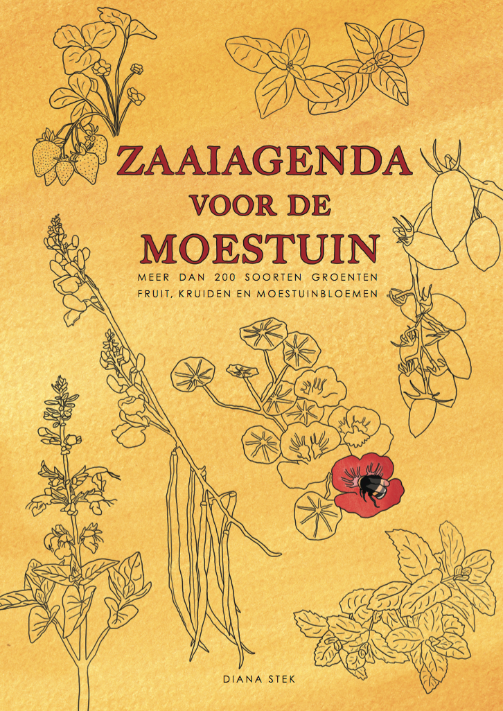 Workshop Keramiek & Moestuinieren | 5 OKTOBER 2025 in Maasland (ZH)