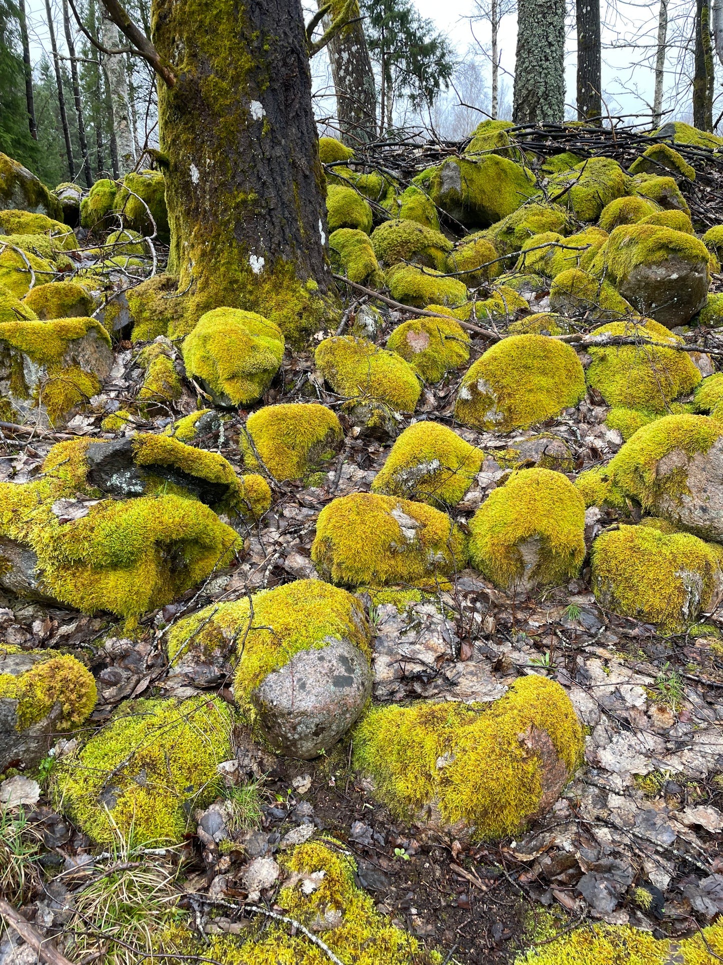 Wandel & Klei Jaargroep - Start September 2025 WOENSDAG