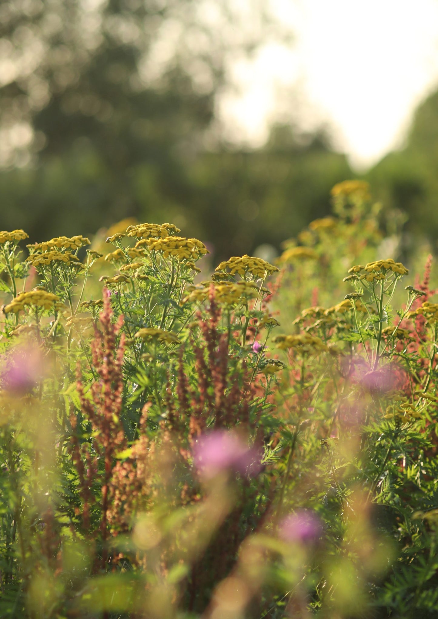 Keramiek workshop Jouw Krachtbeeld - Handvormen en Boetseren - 11 januari 2026 OCHTEND - Maasland (ZH)
