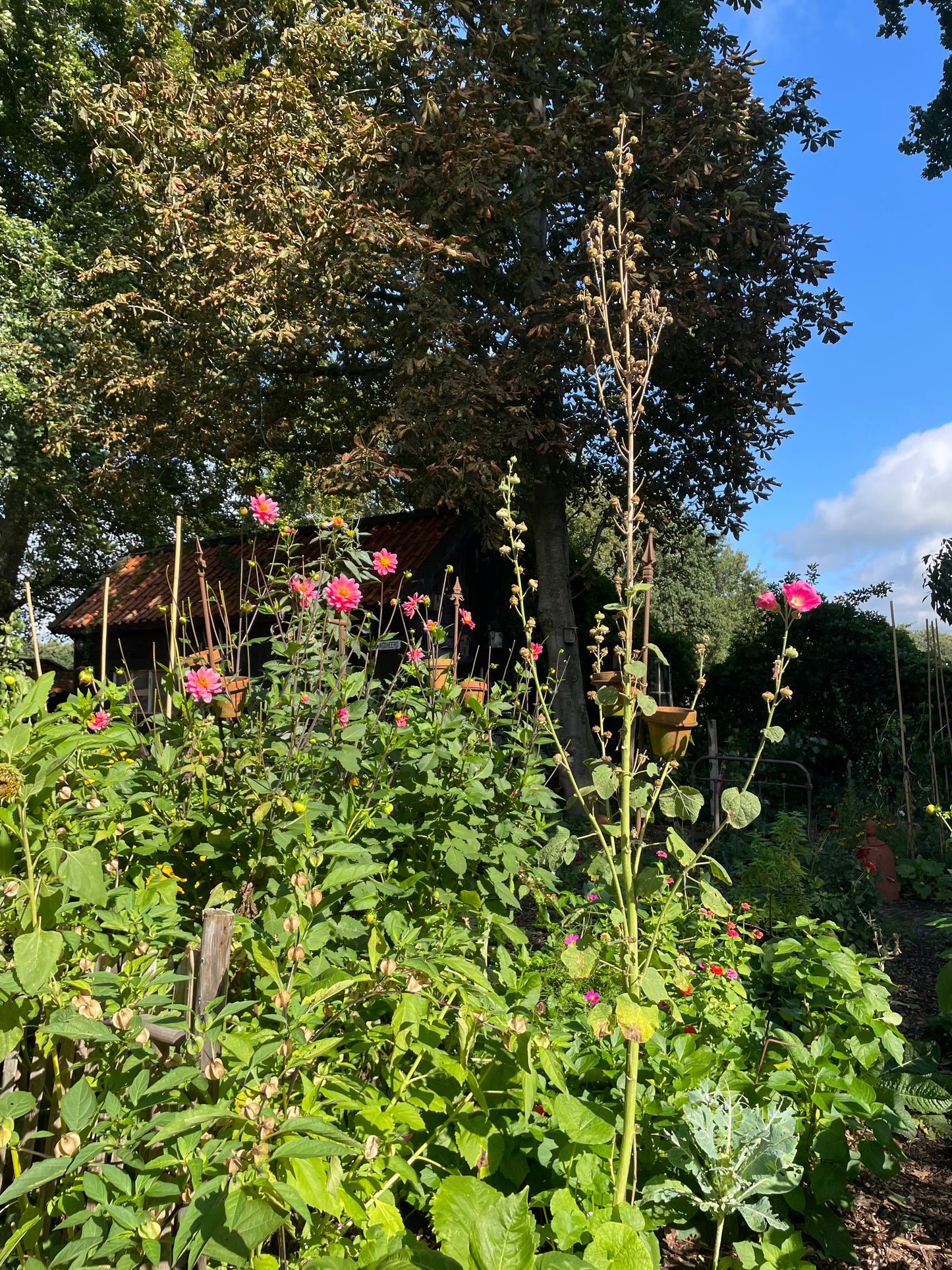 Altaar workshop | maak een altaar van keramiek | 20 JUNI 2026 in DRENTHE bij Stapel op Mijn School